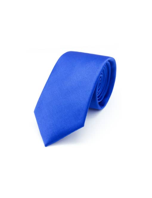 Solid Ultramarine Woven Necktie NT17.9