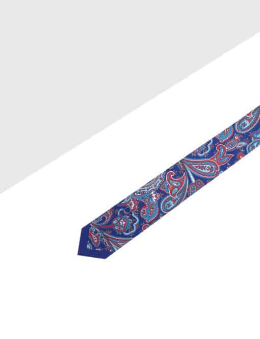 Navy with Red Paisley Print Woven Necktie NT56.9