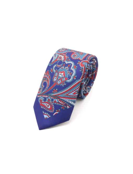 Navy with Red Paisley Print Woven Necktie NT56.9